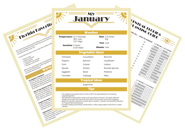 2026 Wild Floridian Garden Planner (digital)